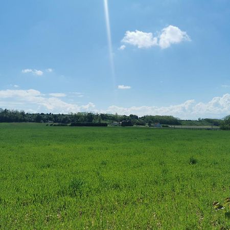 Gite Drome Des Colines Anneyron Bagian luar foto